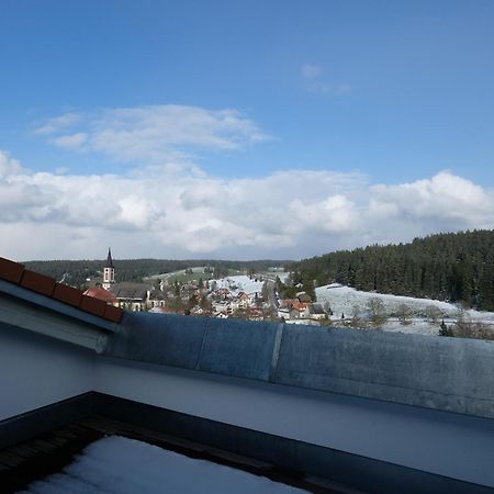 Ferienwohnung Auszeit Schoenwald im Schwarzwald Exterior photo